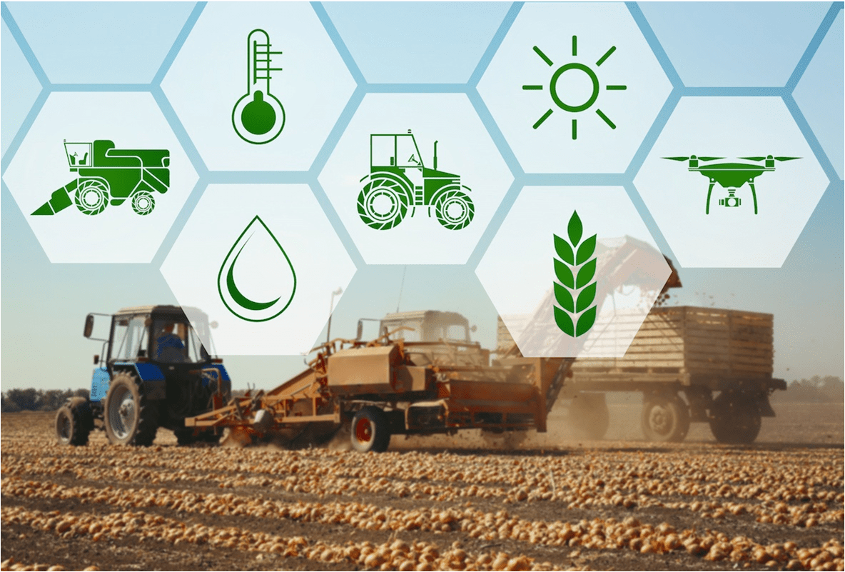 Сельское хозяйство. Современные технологии в сельском хозяйстве. Инновационные сельскохозяйственные технологии. Цифровые технологии в сельском хозяйстве.
